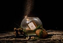 Lionel ROBERTIN - LIONELITO PICS