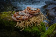 Jérémie MOLARO - F & F PHOTOGRAPHIE