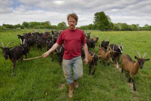 Patrice OLIVIER - PATRICE OLIVIER