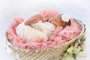 Elodie LAZAR - LAZAR PHOTOGRAPHIE