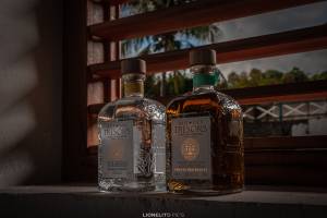 Lionel ROBERTIN - LIONELITO PICS